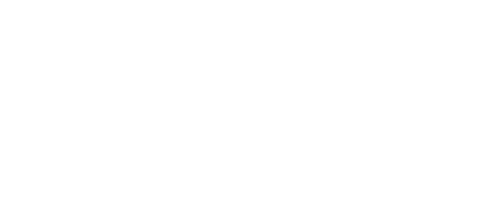 Dyson Supersonic Ionic Hair Dryer