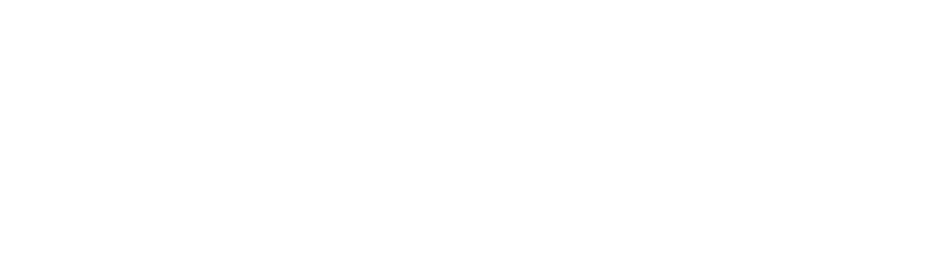 Dyson Airwrap™ Styler