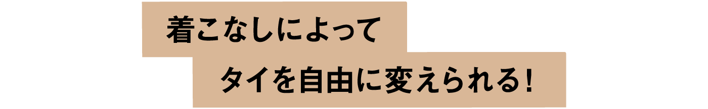 着こなしによってタイを自由に変えられる！